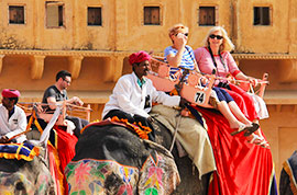 Elephants in India