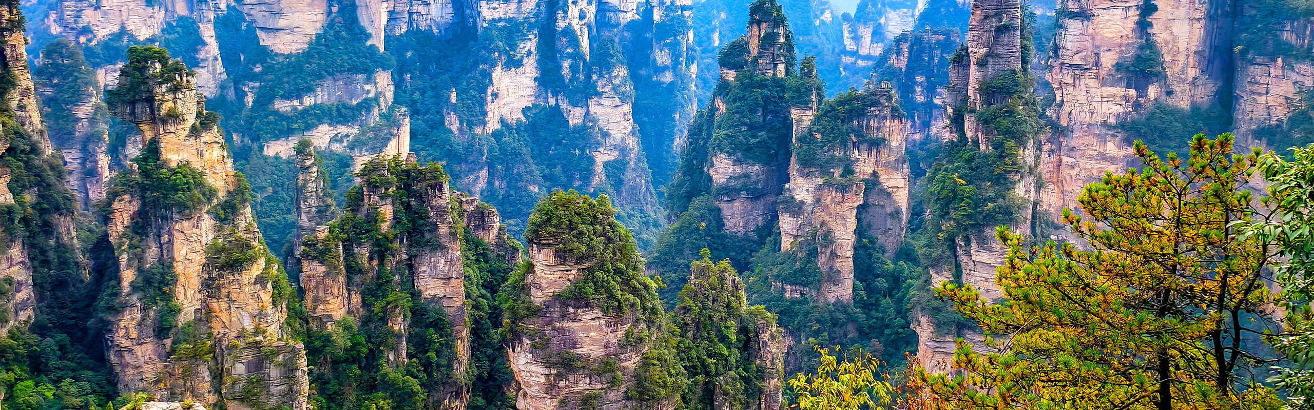 Zhangjiajie Forest Park