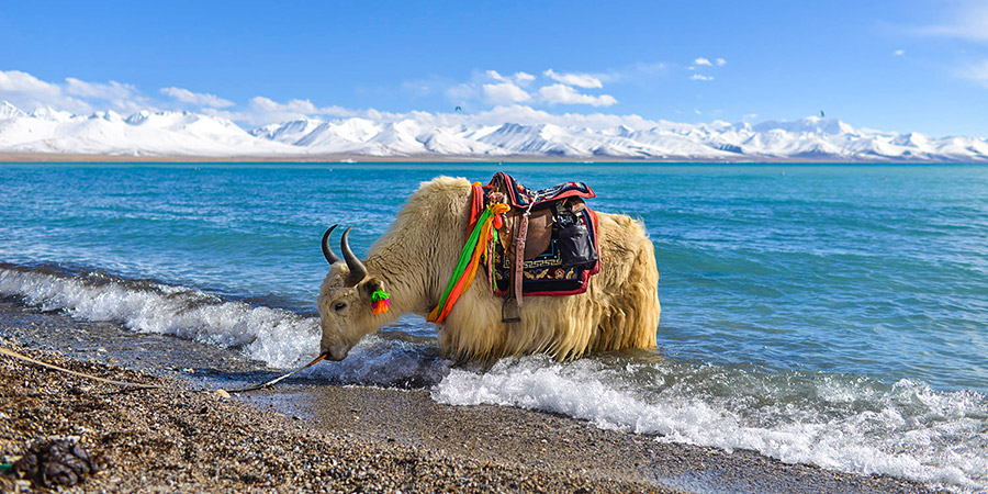 Lake Manasarovar