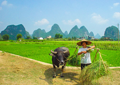 Yangshuo rural scenery