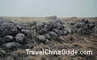 Ruins of Great Wall of Northern Wei State, built during the Southern & Northern Dynasties, Datong City, Shanxi Province