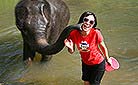 Sally with the cute elephant in Chiengmai, Thailand