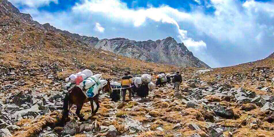 Rented Horses for People to Hike Haba