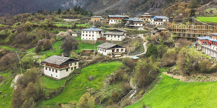 Niru Village