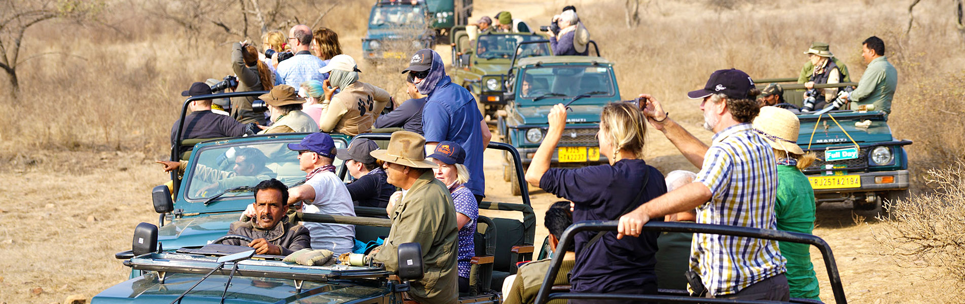 Pench Tiger Reserve, India