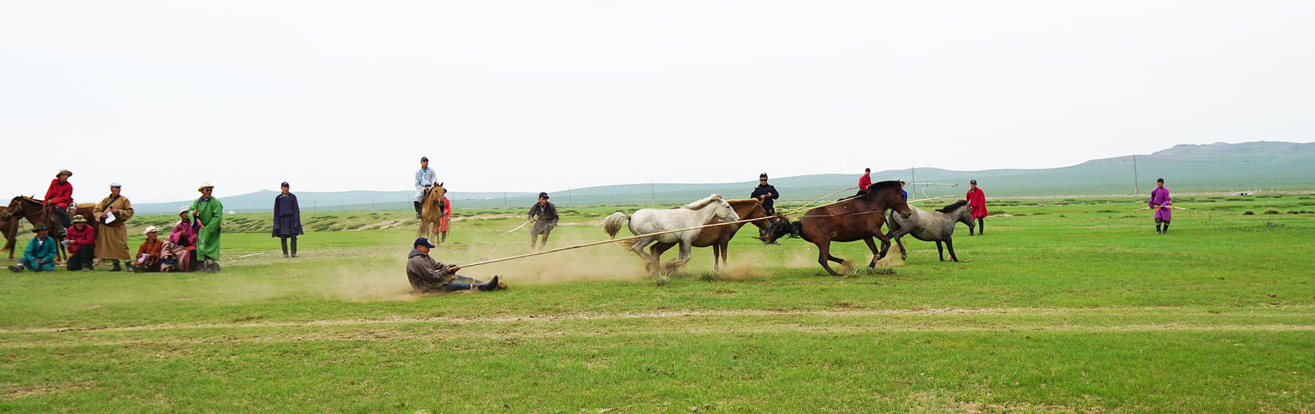 Mongolia grassland