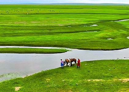 Grassland in Mongolia