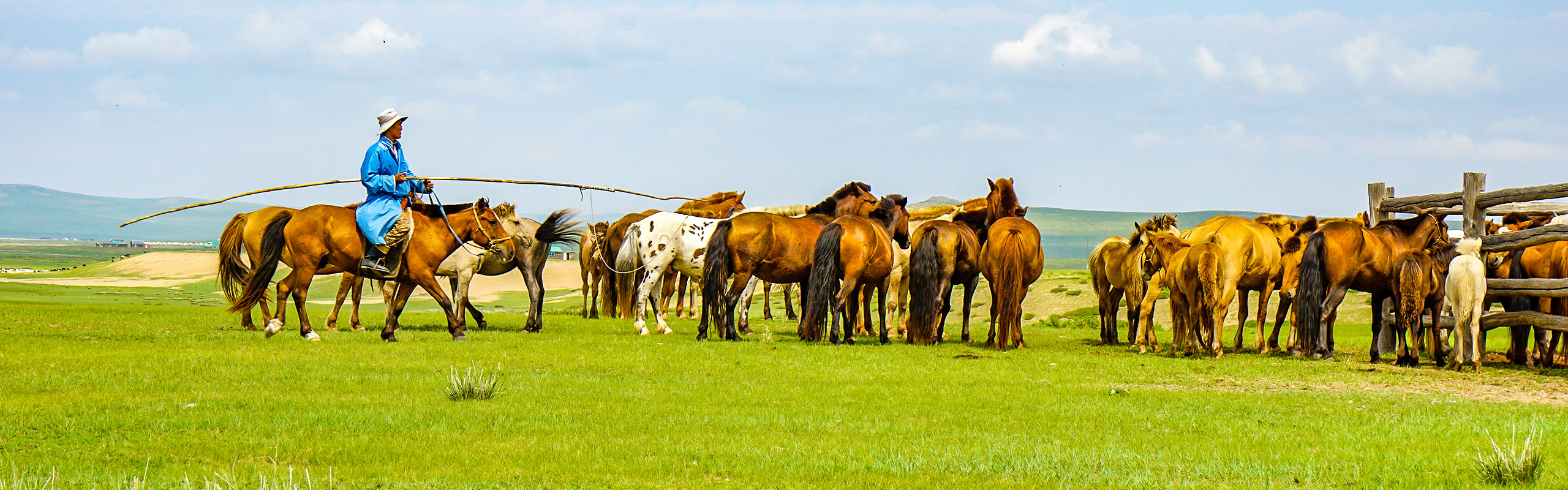 Mongolian Grassland