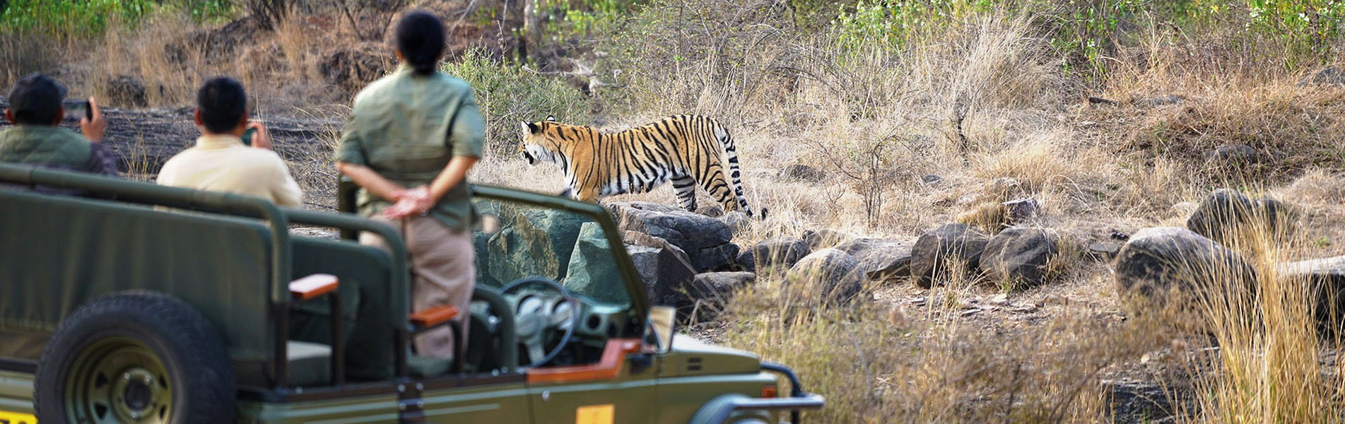 Ranthambore National Park