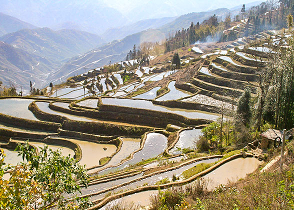 Yuanyang Rice Terraces