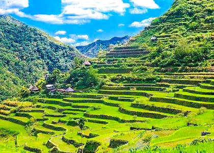 Banaue Rice Terraces