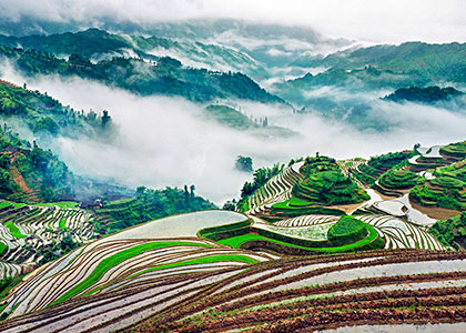 Longji Rice Terraces