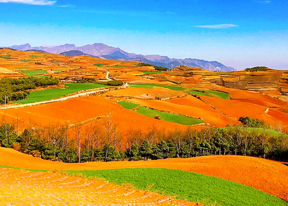 Dongchuan Red Land