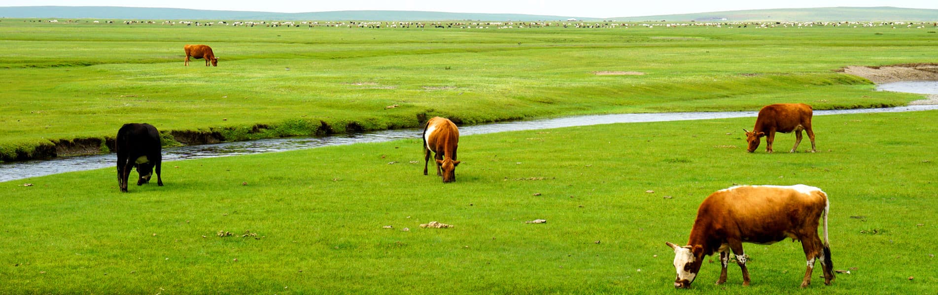 Orkhon Valley