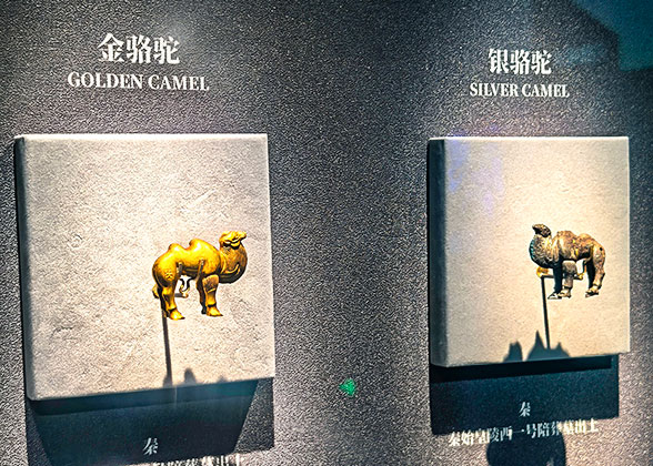 Golden and Silver Camels