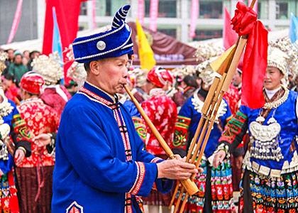 Festival celebrations