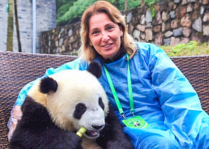 Giant Pandas, Chengdu